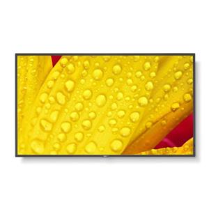 Sharp 65" MultiSync M652- 24/7, 550 cd, IPS LED, 3840x2160, 16:9, 8ms, 8000:1, DP, 2x HDMI, USB